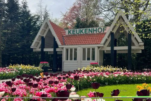 10D8N TOUR EROPA BARAT + KEUKENHOF by EMIRATES | 2027