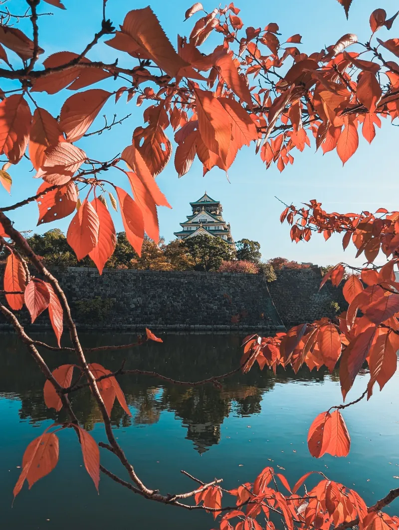 7D FUNTASTIC SALE JAPAN FUKUOKA KYUSHU by Cathay Pacific