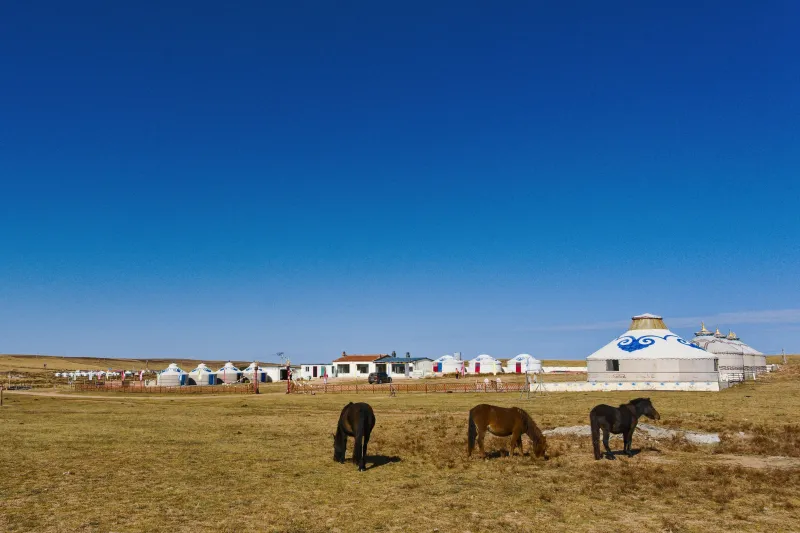 9D CHINA - INNER MONGOLIA MUSLIM